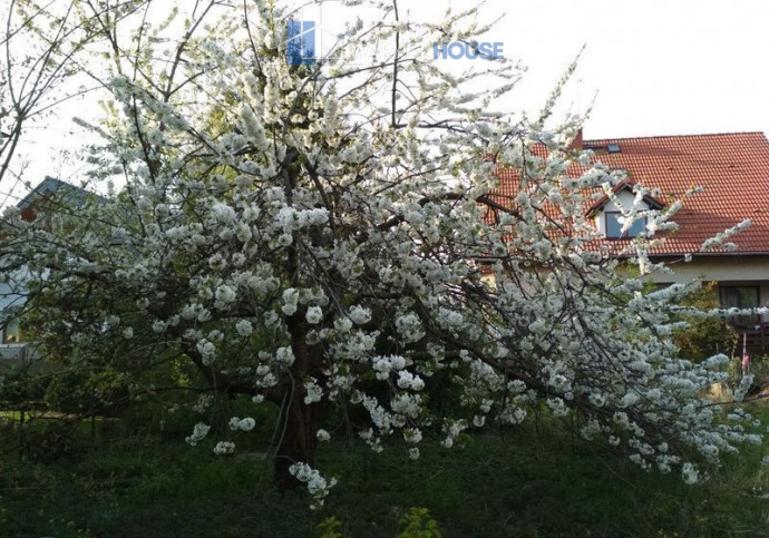 Działka Sprzedaż Szczecin Pogodno 1