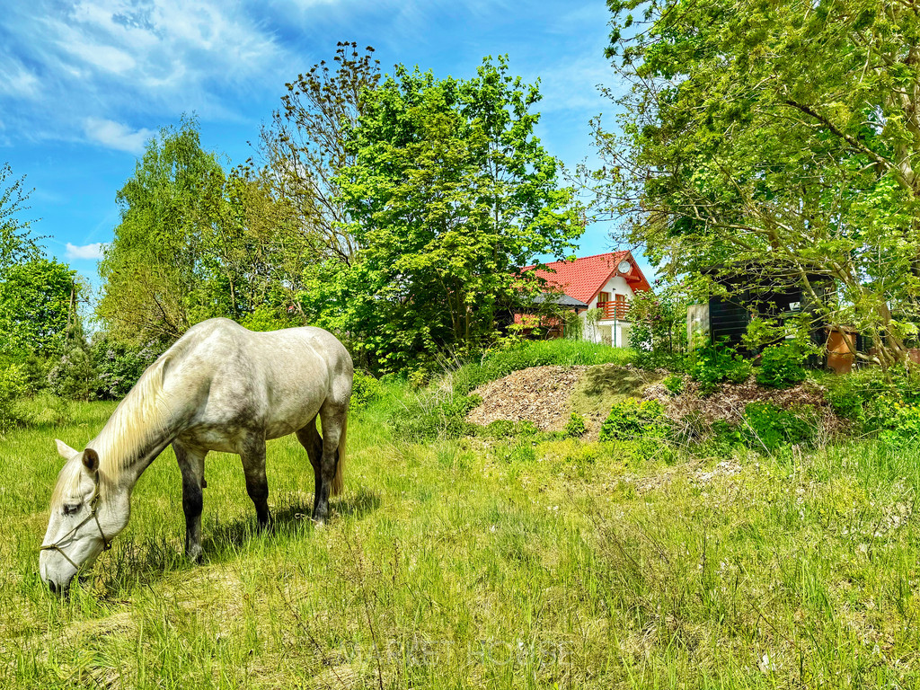 Dom Sprzedaż Trzeszczyn 41