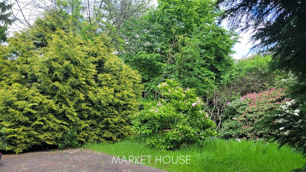 Dom Sprzedaż Szczecin Książąt Pomorskich 28