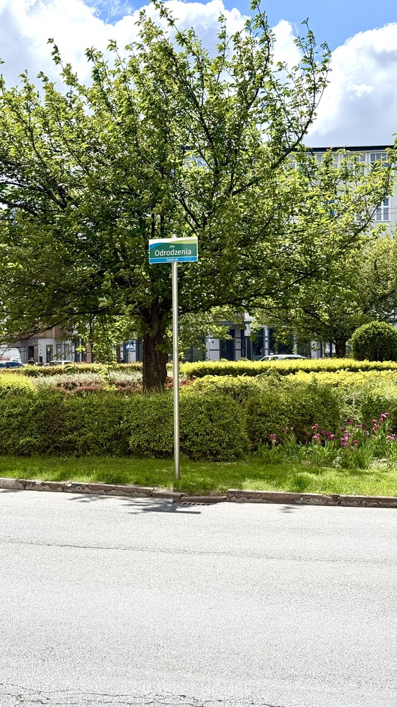 Mieszkanie Sprzedaż Szczecin Centrum Monte Cassino 34