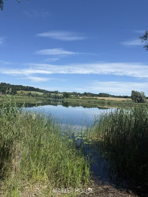 Działka Wynajem Binowo 1