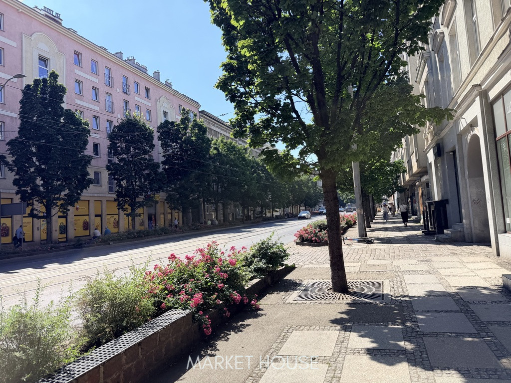 Lokal Sprzedaż Szczecin Centrum 8