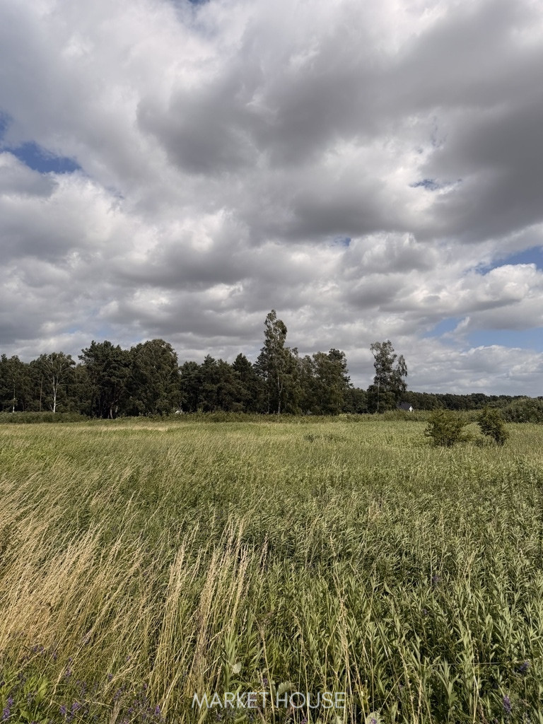 Działka Sprzedaż Niedźwiedź 8