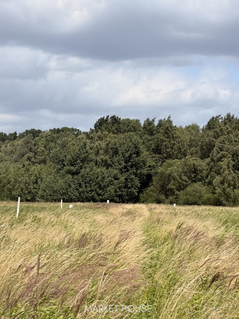 Działka Sprzedaż Niedźwiedź 5