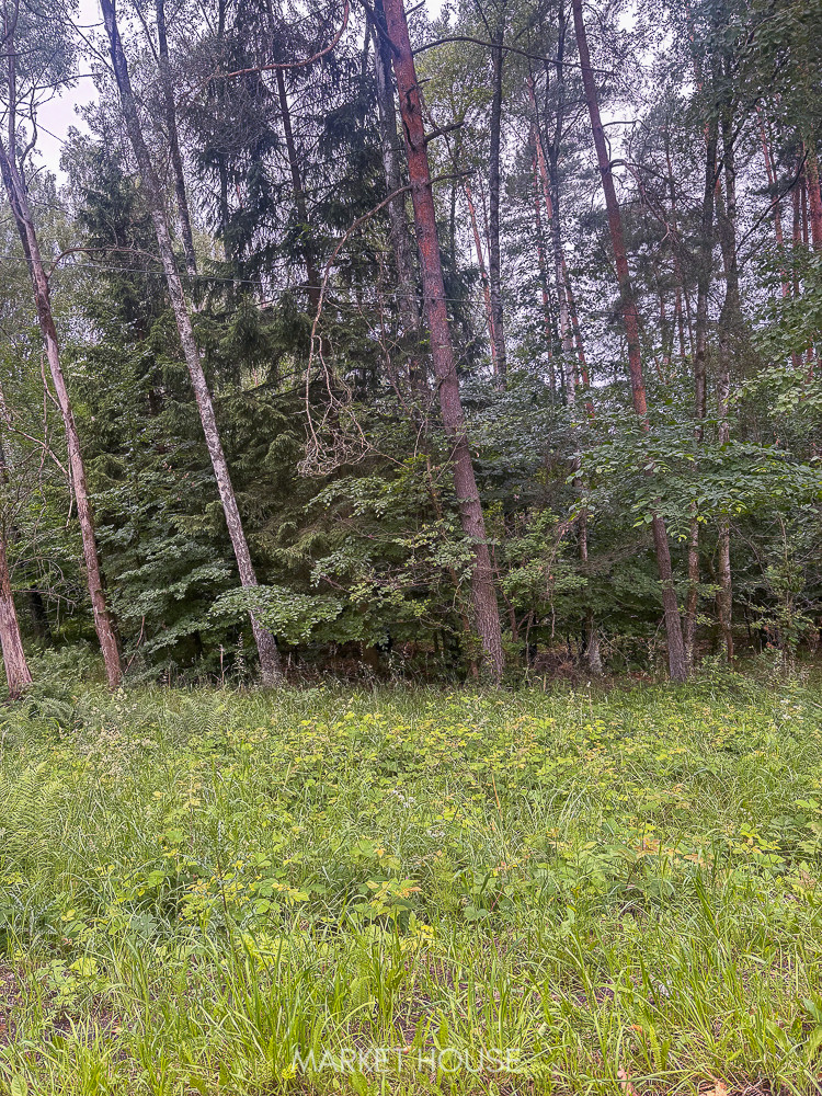 Działka Sprzedaż Piaseczno 8