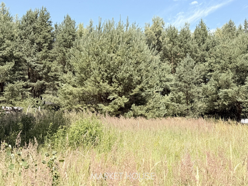 Działka Sprzedaż Tanowo 4