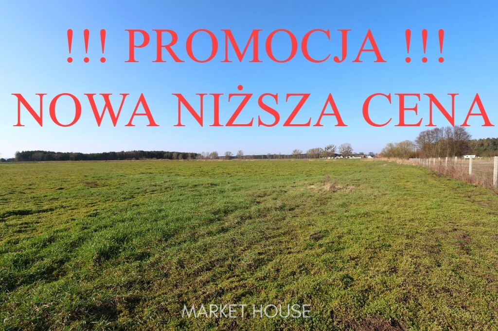 Działka Sprzedaż Lubczyna