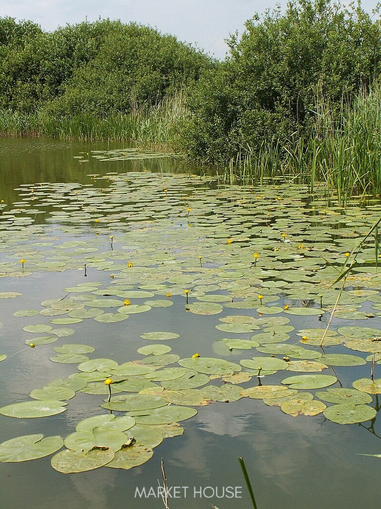 Działka Sprzedaż Giżyn 4