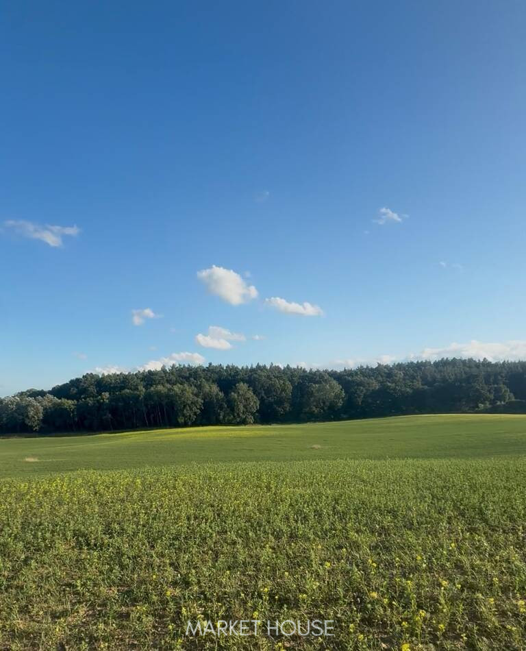 Działka Sprzedaż Buk 1