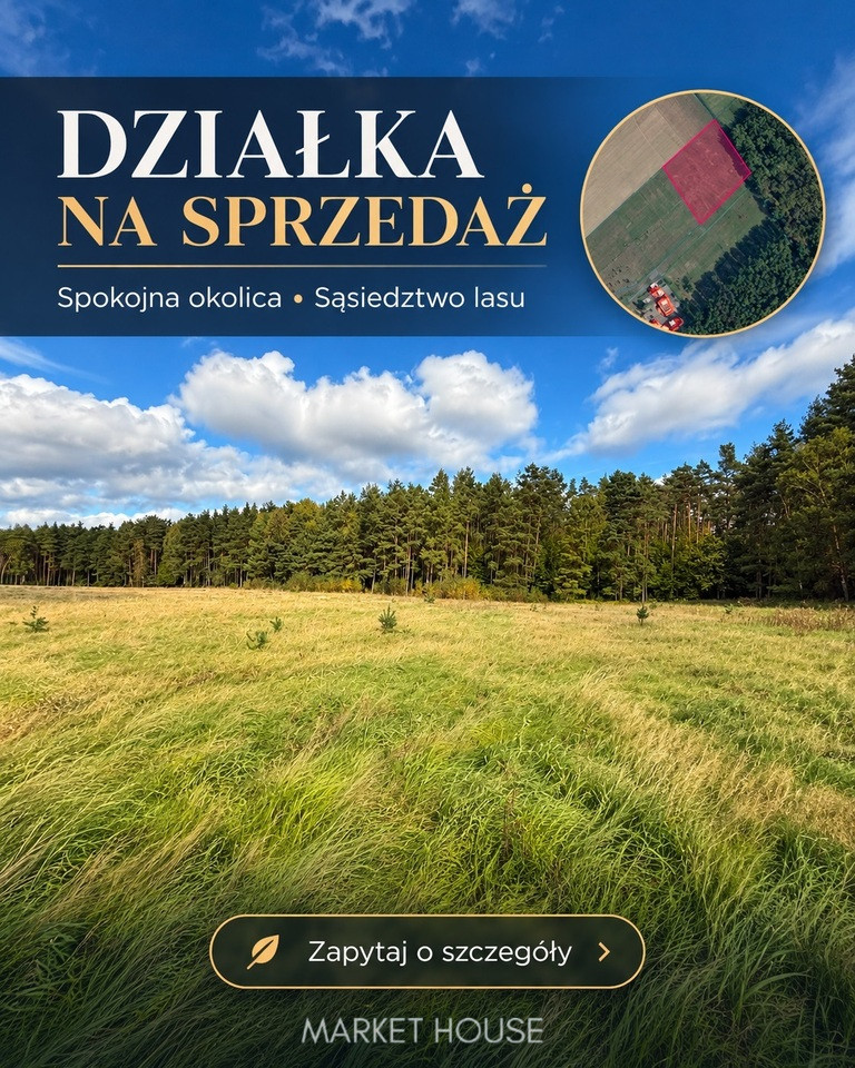 Działka Sprzedaż Drzewica 3