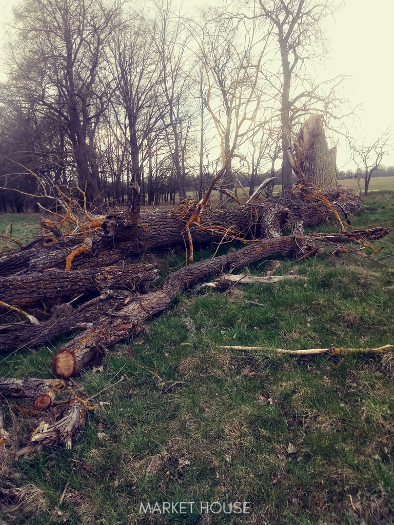 Działka Sprzedaż Łęgi 5