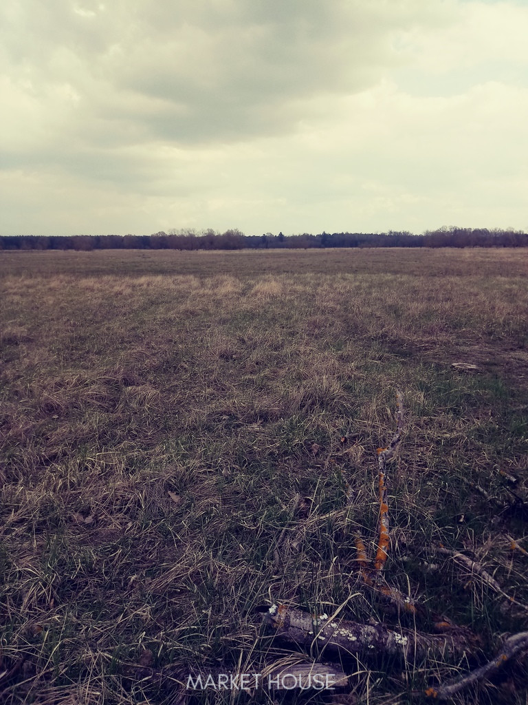 Działka Sprzedaż Łęgi 2
