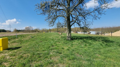 Działka Sprzedaż Szczecin Skolwin