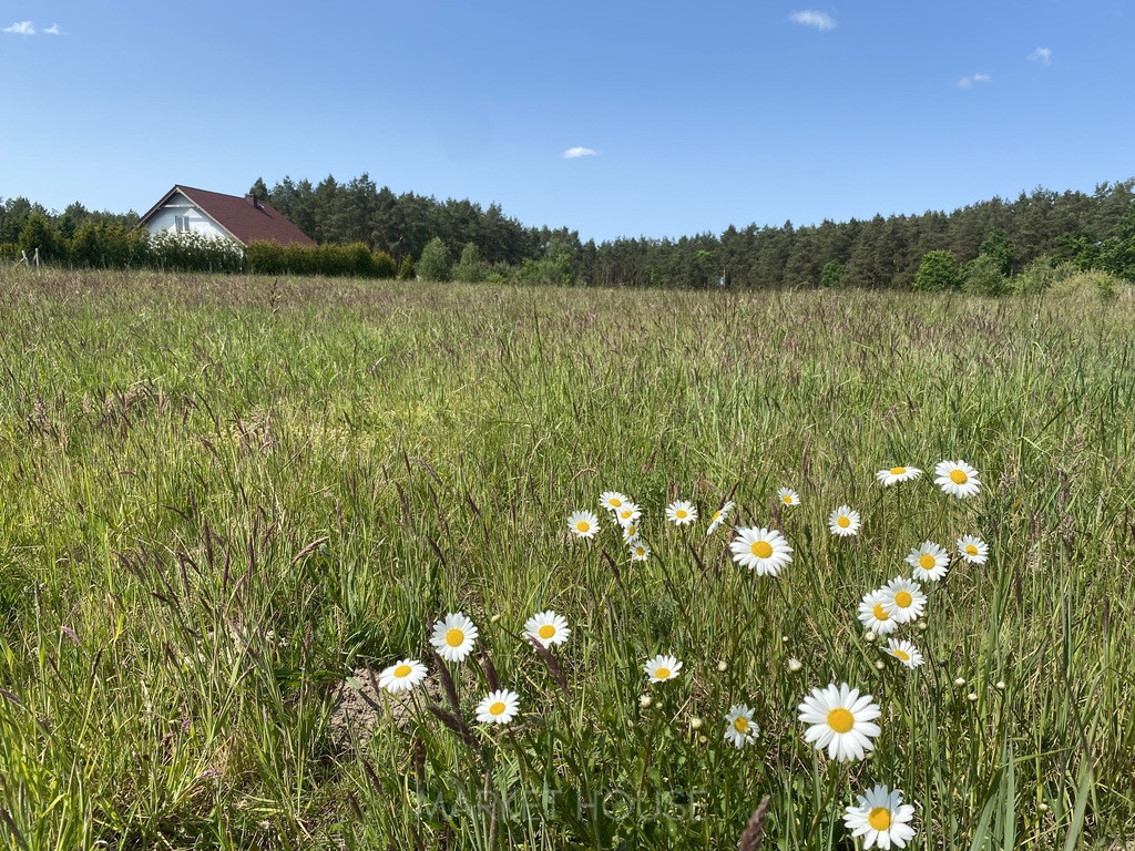 Działka Sprzedaż Przybiernów 2