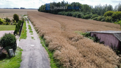 Działka Sprzedaż Warnice