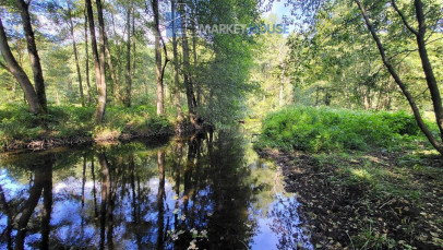 Działka Sprzedaż Staw