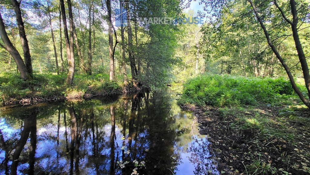 Działka Sprzedaż Staw