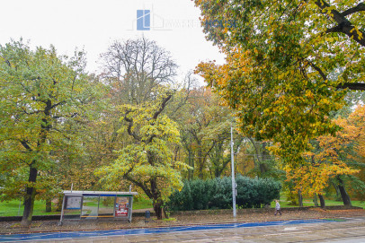 Mieszkanie Sprzedaż Szczecin Śródmieście Jacka Malczewskiego