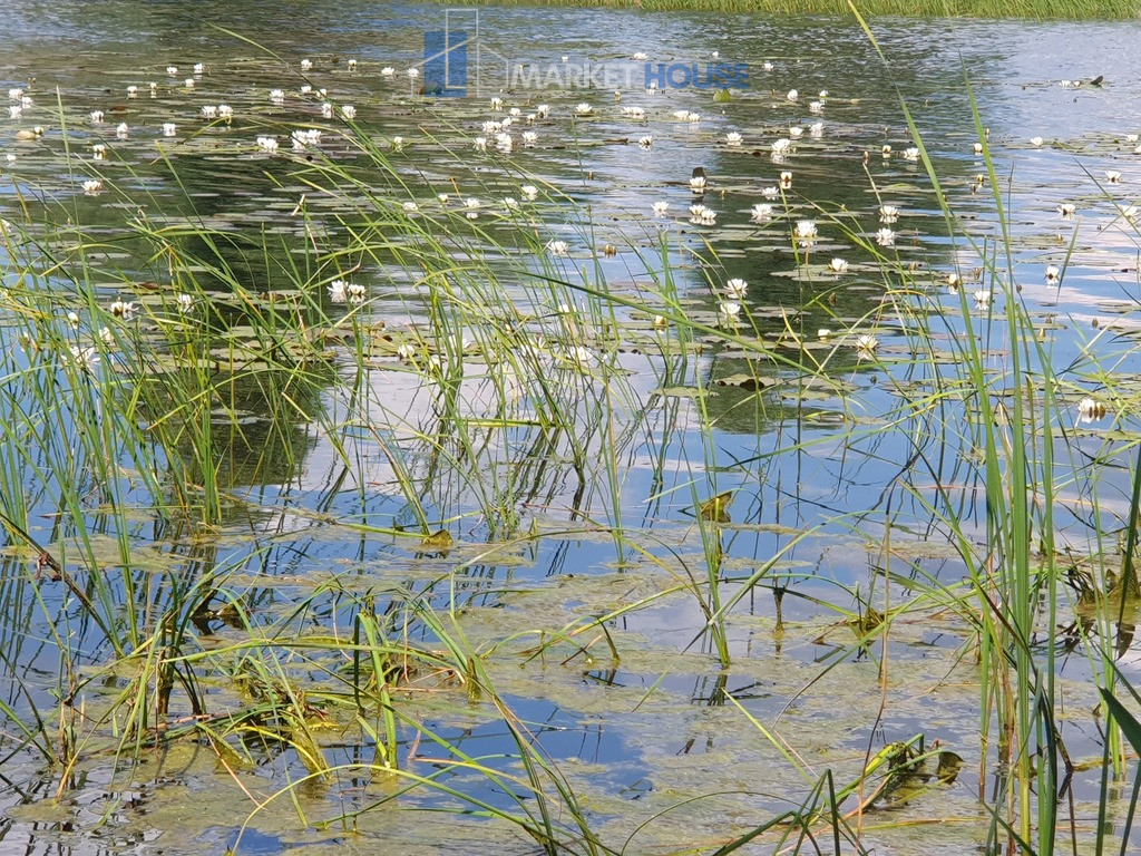 Działka Sprzedaż Zieleniewo 5