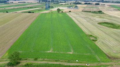 Działka Sprzedaż Bielice