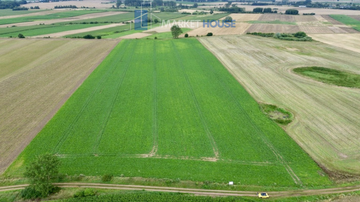 Działka Sprzedaż Bielice 4