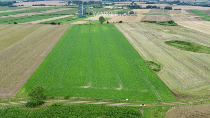 Działka Sprzedaż Bielice 1