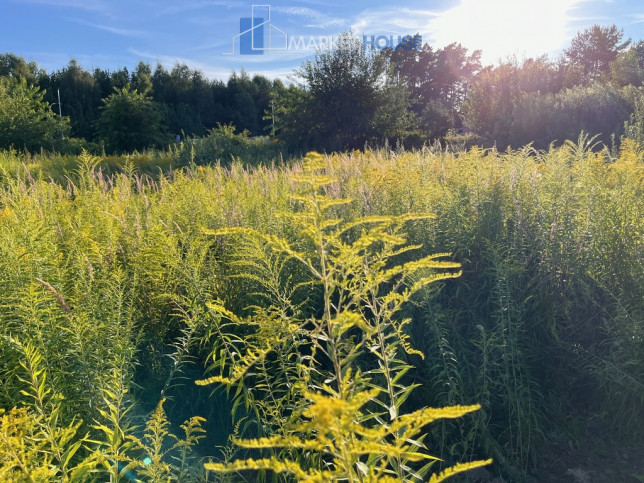 Działka Sprzedaż Kobylanka 5