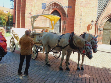 Mieszkanie Sprzedaż Szczecin Śródmieście-Centrum Grodzka