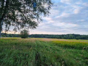 Działka Sprzedaż Szczecin Wielgowo Żywiczna