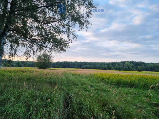 Działka Sprzedaż Szczecin Wielgowo Żywiczna 1