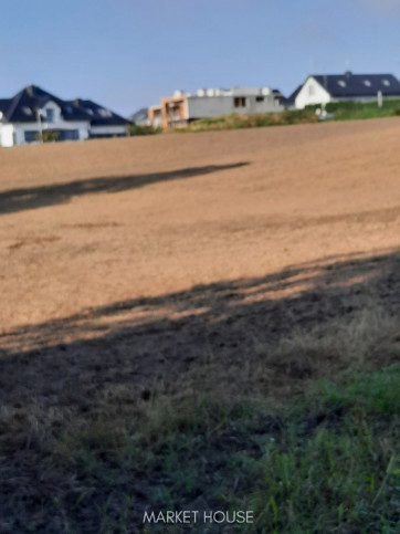 Działka Sprzedaż Kurów 5