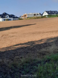 Działka Sprzedaż Kurów
