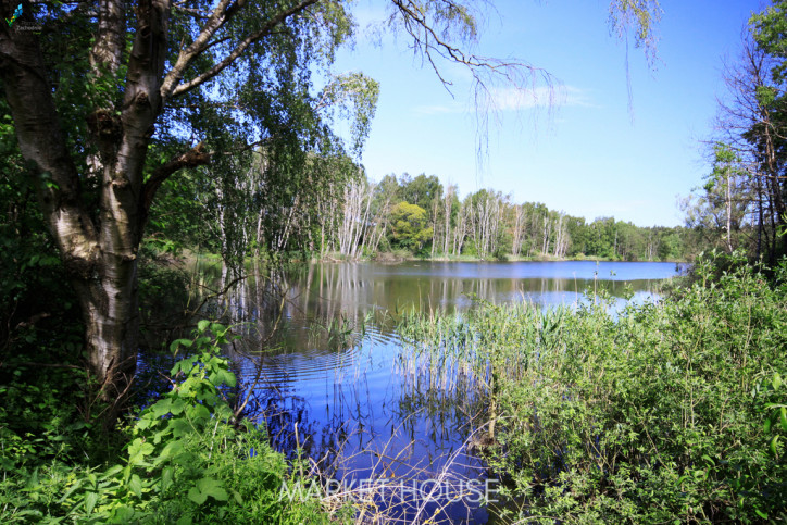 Działka Sprzedaż Bartoszewo 4