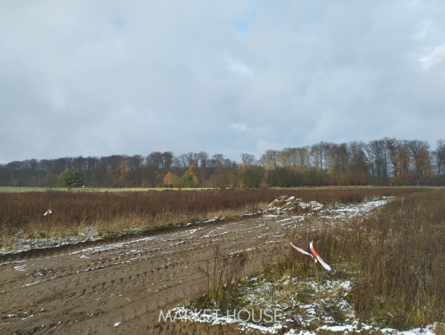 Działka Sprzedaż Dobropole Gryfińskie 3