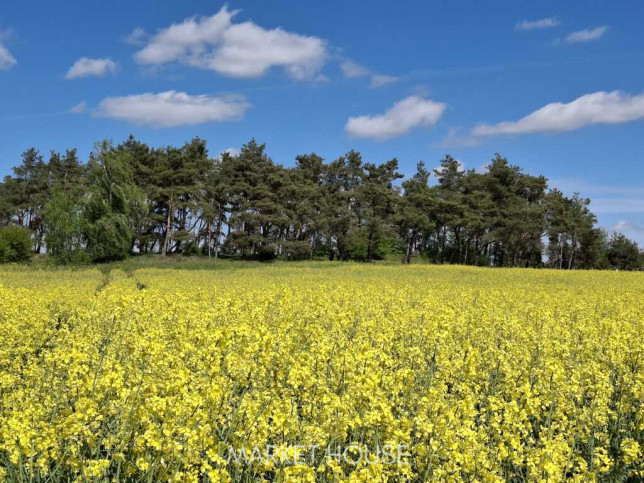 Działka Sprzedaż Parsów 1