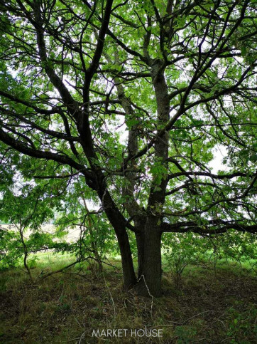Działka Sprzedaż Świeszewo 5