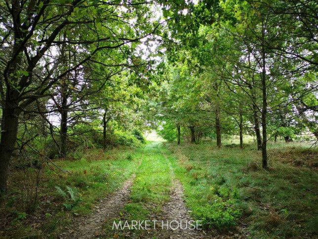 Działka Sprzedaż Świeszewo 6