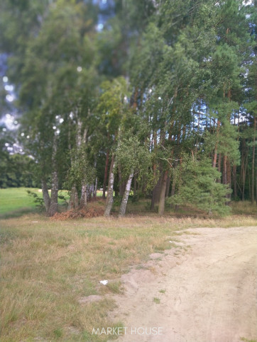 Działka Sprzedaż Tanowo Szczecińska 11