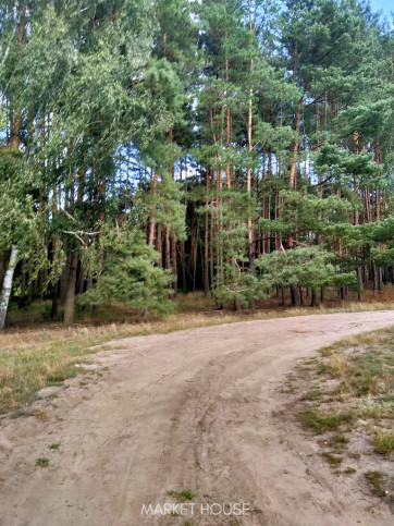 Działka Sprzedaż Tanowo Szczecińska 2