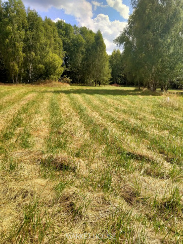 Działka Sprzedaż Grzepnica 1
