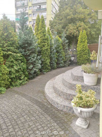 Dom Sprzedaż Szczecin Pogodno