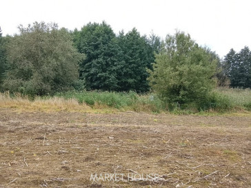 Działka Sprzedaż Stara Dąbrowa