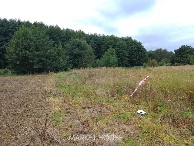 Działka Sprzedaż Stara Dąbrowa 18