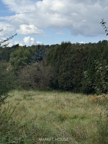 Działka Sprzedaż Szczecin Pilchowo 1