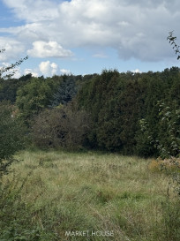 Działka Sprzedaż Szczecin Pilchowo
