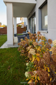 Mieszkanie Sprzedaż Szczecin Osów Gwiazdy Polarnej