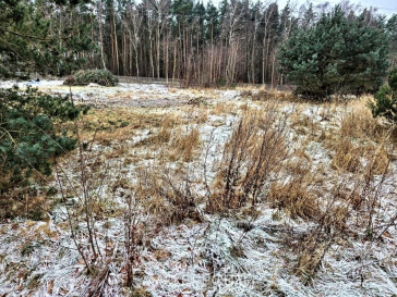 Działka Sprzedaż Dargobądz