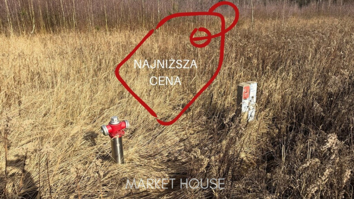 Działka Sprzedaż Żółwia Błoć 1