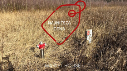 Działka Sprzedaż Żółwia Błoć
