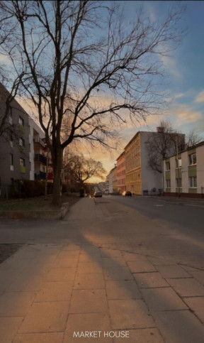 Lokal Wynajem Szczecin Śródmieście Jana Kazimierza 10
